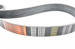 8PK2415     BlackBelt ##